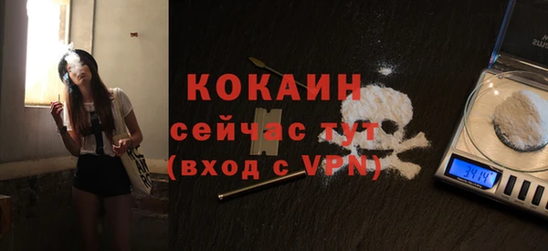 мет Елизово