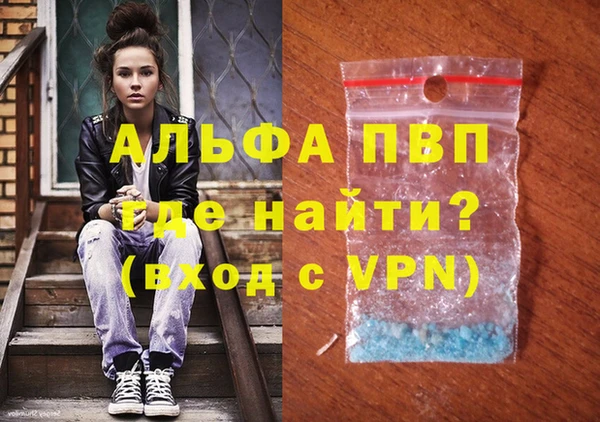 гашик Дмитровск