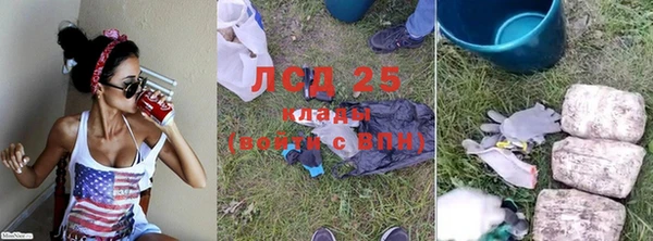 гашик Дмитровск