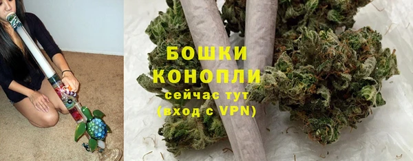 гашик Дмитровск