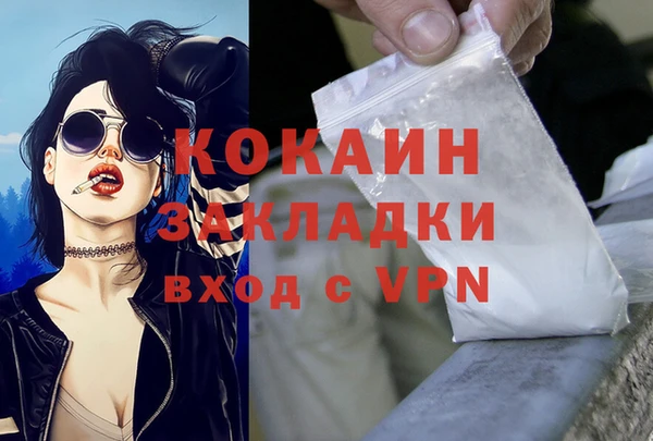 гашиш Дмитриев