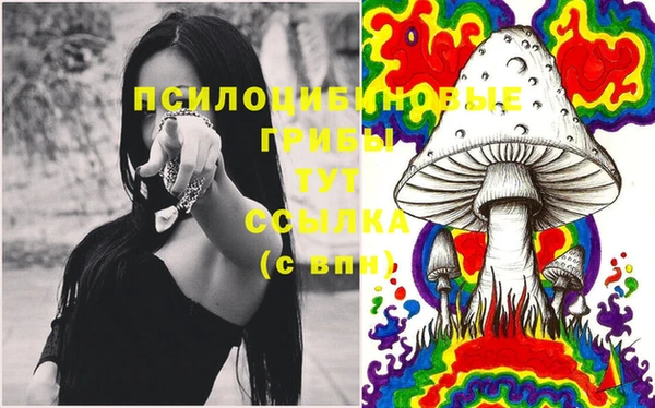гашик Дмитровск